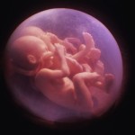 rmc decouverte miracles in utero